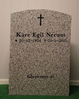 W 313 Lys-grå granitt