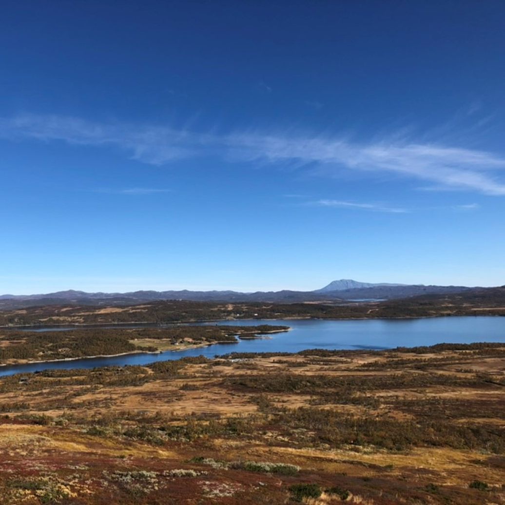 Landskap under en skyfri himmel